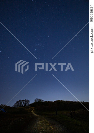 Starry sky 99036634