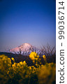 Rape blossoms and Mount Fuji 99036714