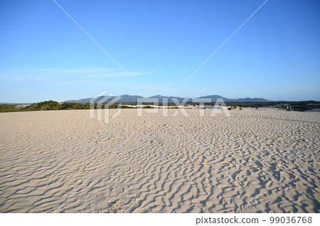 風塑造的沙丘 99036768