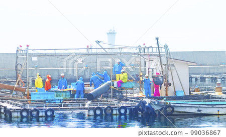 漁港風景漁夫魚運輸工作[水平構圖] 99036867