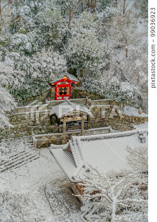 清水寺 Kyoto 2023 冬季大雪 清水寺 Kyoto 2023 冬季大雪 99036923