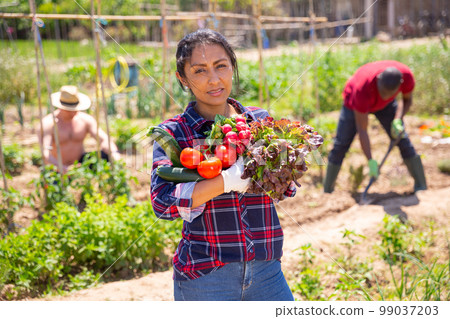 Woman gardener holding basket with harvest of fresh vegetables Woman gardener holding basket with harvest of fresh vegetables 99037203