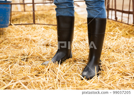 Close up of black rubber boots Close up of black rubber boots 99037205