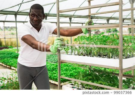 African-american farmer working on self-propelled trolley 99037366