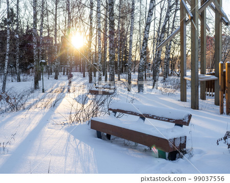 City park in winter. Bench in a birch grove. City park in winter. Bench in a birch grove. 99037556