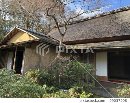 大 - 町花園 大 - 町花園 99037908