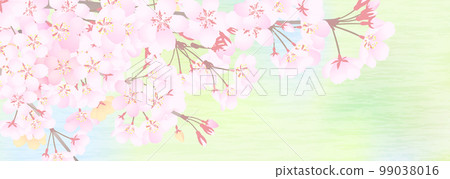 Illustration of cherry blossom branch with bright blurred fresh green background 99038016