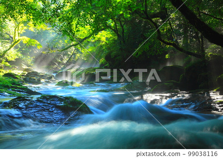 Kikuchi Valley in summer 99038116