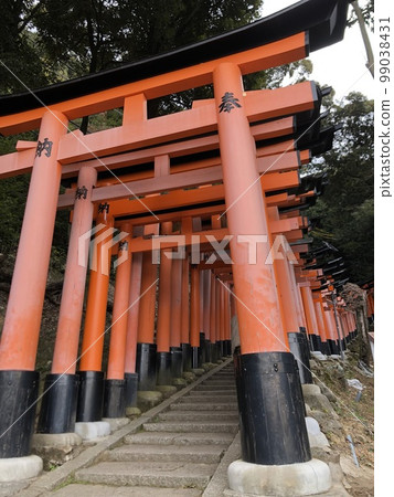 京都伏見稻荷大社的千本鳥居 99038431