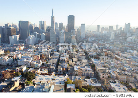 View from Coit Tower in San Francisco View from Coit Tower in San Francisco 99039463