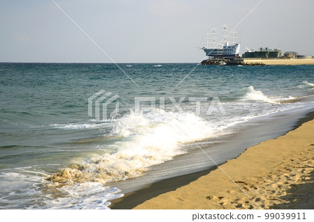 Winter travel, beach, Jeongdongjin 99039911