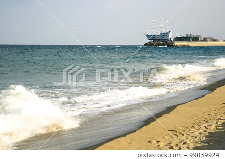 Winter travel, beach, Jeongdongjin 99039924