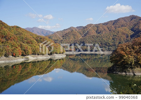 栃木縣湯西川水壩的秋葉 栃木縣湯西川水壩的秋葉 99040368