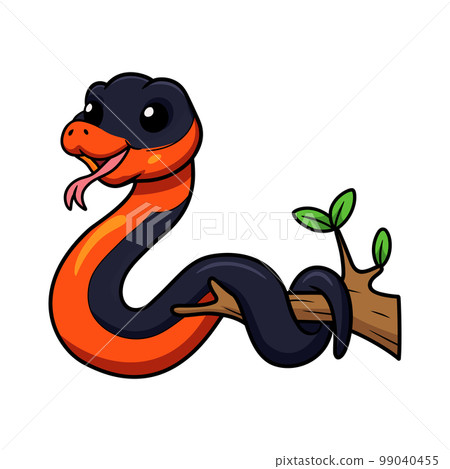 Cute ring necked snake cartoon on tree branch Cute ring necked snake cartoon on tree branch 99040455
