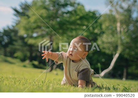 嬰兒在公園的草地上爬行 99040520