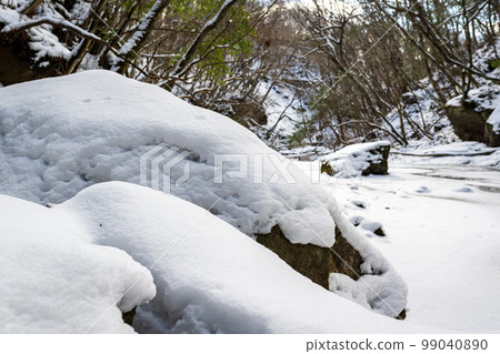 與寒冷的雪和冰的冬天風景 99040890