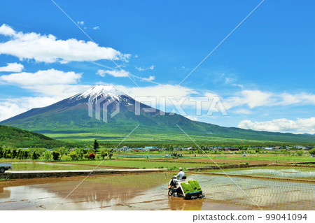 Yamanashi Prefecture Early summer blue sky and rice planting scenery and Mt. Fuji 99041094