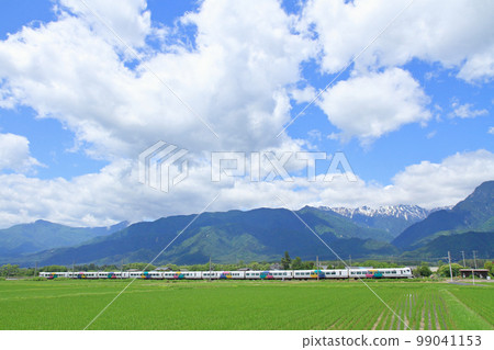 Early Summer Oito Line E257 Series Limited Express Azusa 99041153