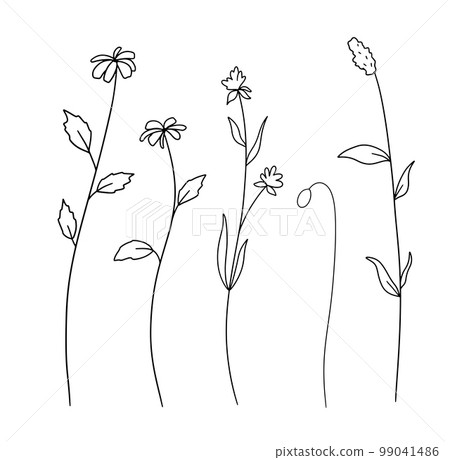 Hand drawn wildflowers. Vector outline flowers sketch. Line art doodle isolated on white background 99041486
