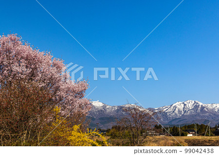 [Niigata Prefecture/Sado] Early Spring April 99042438