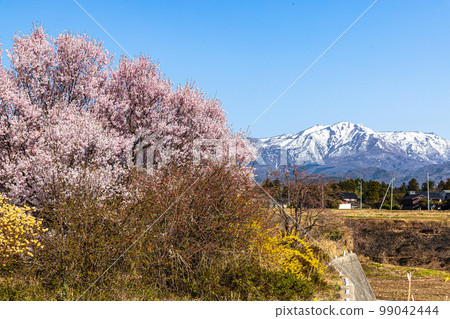 [Niigata Prefecture/Sado] Early Spring April 99042444