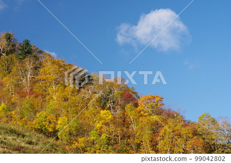 柔軟的撕裂雲 99042802