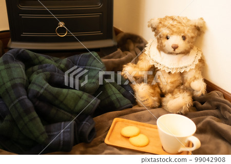 Warm winter room [winter image] 99042908