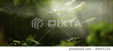 Natural forest plant green leaf in tropical climate. Creative layout made with tropical plants 99043120
