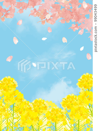 Cherry blossoms and rape blossoms, blue sky, gentle spring background illustration Cherry blossoms and rape blossoms, blue sky, gentle spring background illustration 99043499