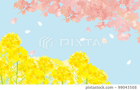 Cherry blossoms and rape blossoms, blue sky, gentle spring background illustration 99043508