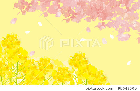 Cherry blossoms and rape blossoms, blue sky, gentle spring background illustration 99043509