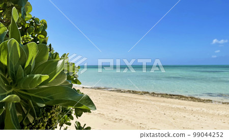 沖繩 taketomi 島 kaiji 海灘海海灘景觀 99044252