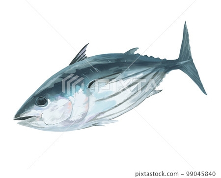 Bonito 99045840
