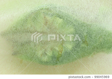 日本蜂斗菜橫截面 日本蜂斗菜橫截面 99045969