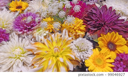 五顏六色的花特寫 五顏六色的花特寫 99046927