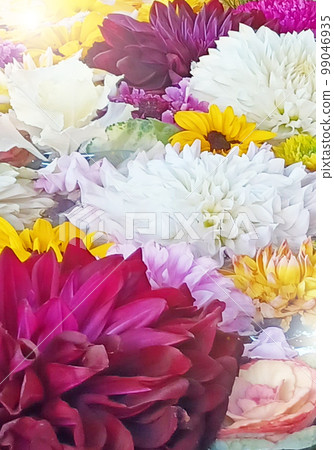 Beautiful flowers floating in the water, placed vertically Beautiful flowers floating in the water, placed vertically 99046935