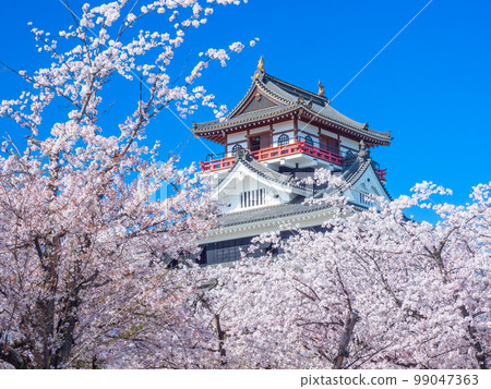 Kiyosu, Aichi in April Kiyosu Castle's castle tower and cherry blossoms Kiyosu, Aichi in April Kiyosu Castle's castle tower and cherry blossoms 99047363