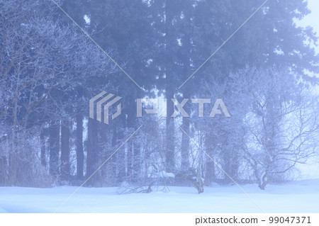 A cold winter morning, a snowy landscape, a mist 99047371