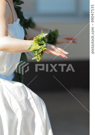 Hands of a woman doing a hula dance 99047535