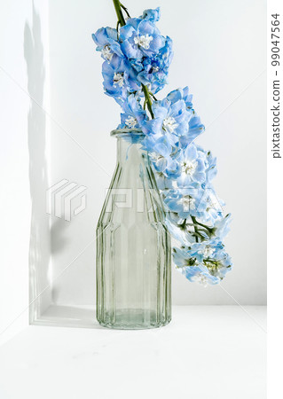 A glass vase stands on a white background. 99047564