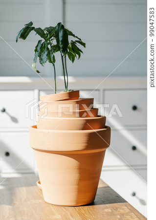 A stack of terracotta pots on the background of the interior. A stack of terracotta pots on the background of the interior. 99047583