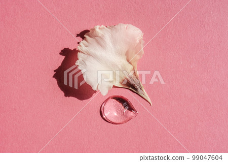 A drop of transparent cosmetic gel with flower on a pink background. A drop of transparent cosmetic gel with flower on a pink background. 99047604