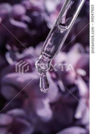 A drop of cosmetic oil falls from the pipette on a purple floral background. A drop of cosmetic oil falls from the pipette on a purple floral background. 99047605