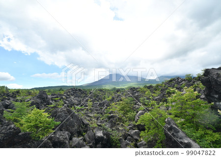 Onioshidashi 熔岩地區的風景 Onioshidashi 熔岩地區的風景 99047822