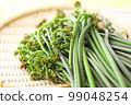 蕨菜 99048254