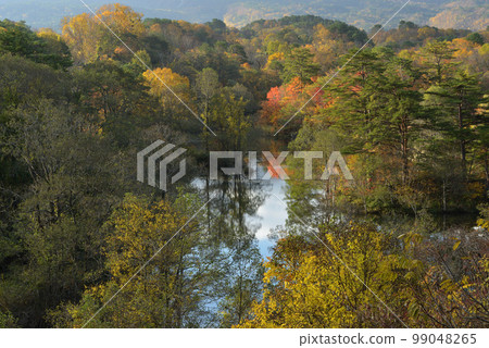 Urabandai Lake Nakasenuma in Autumn 99048265