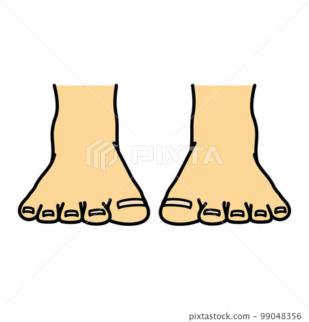 Leg foot toe side front Leg foot toe side front 99048356