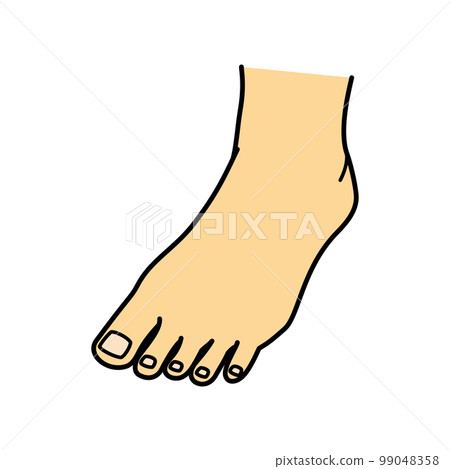 Foot Instep Left foot Foot Instep Left foot 99048358