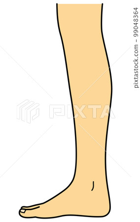 腿腳側拇指側右腳 腿腳側拇指側右腳 99048364