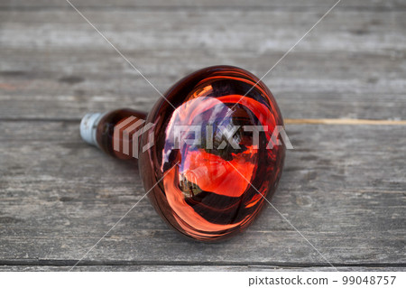 A red large lamp that radiates heat for animals and birds. Wooden background, close-up A red large lamp that radiates heat for animals and birds. Wooden background, close-up 99048757